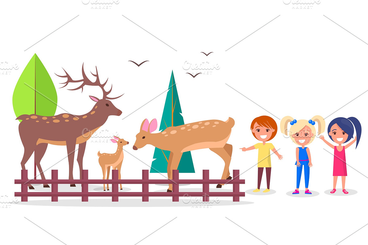 Deer Family in Woods Isolated in Illustrations - product preview 8
