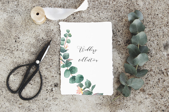 Wedding Watercolor Collection in Illustrations - product preview 4