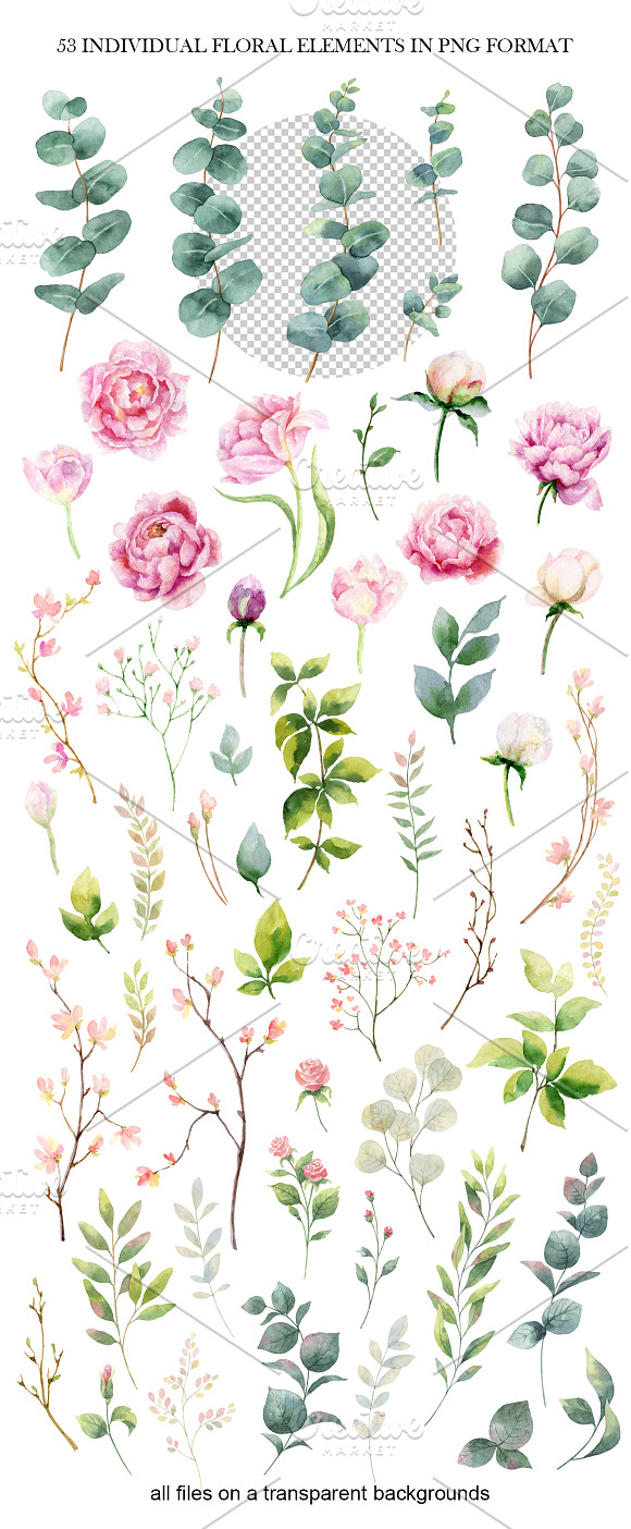 Wedding Watercolor Collection in Illustrations - product preview 10