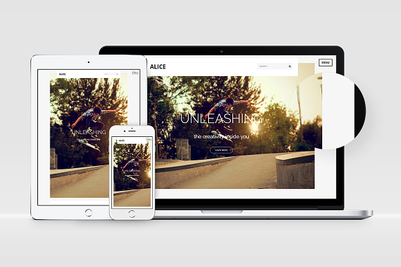 Alice: Multi-Purpose HTML Template in HTML/CSS Themes - product preview 9