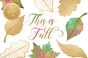 Autumn & Fall Leaves Clipart Set