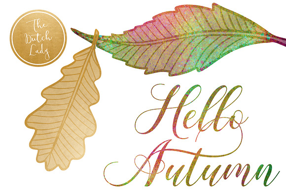 Autumn & Fall Leaves Clipart Set in Illustrations - product preview 1
