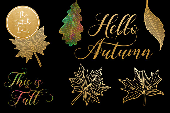 Autumn & Fall Leaves Clipart Set in Illustrations - product preview 2