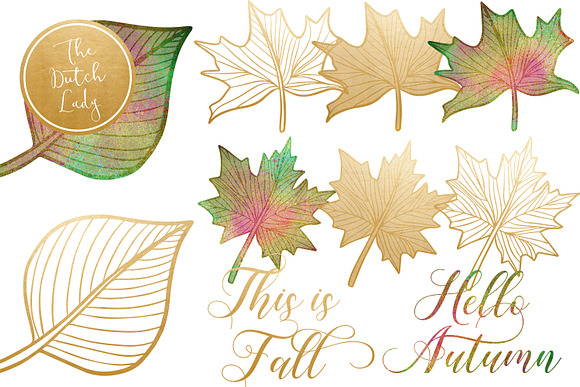 Autumn & Fall Leaves Clipart Set in Illustrations - product preview 3
