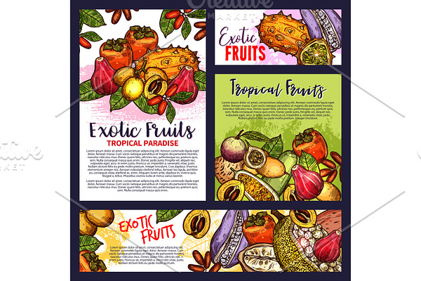 Tropical exotic fruit posters vector