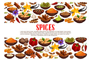 Spices and condiments cooking