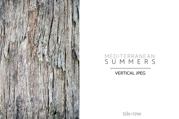 Med Summers | Vertical No. 21