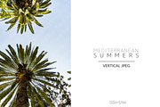 Med Summers | Vertical No. 19
