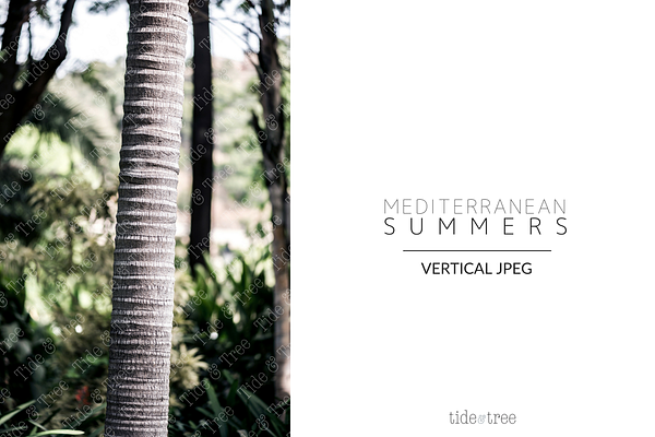 Med Summers | Vertical No. 18