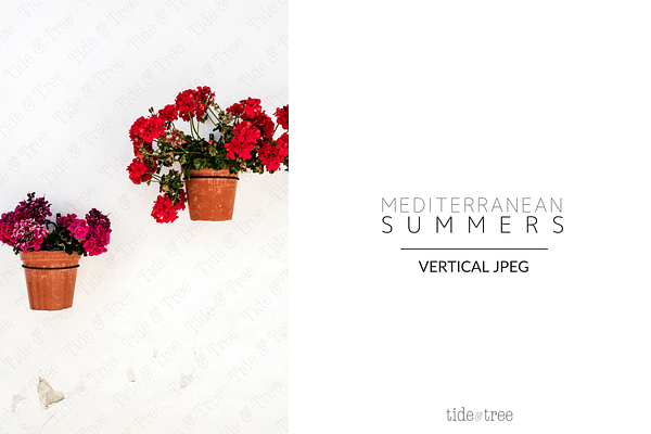 Med Summers | Vertical No. 14