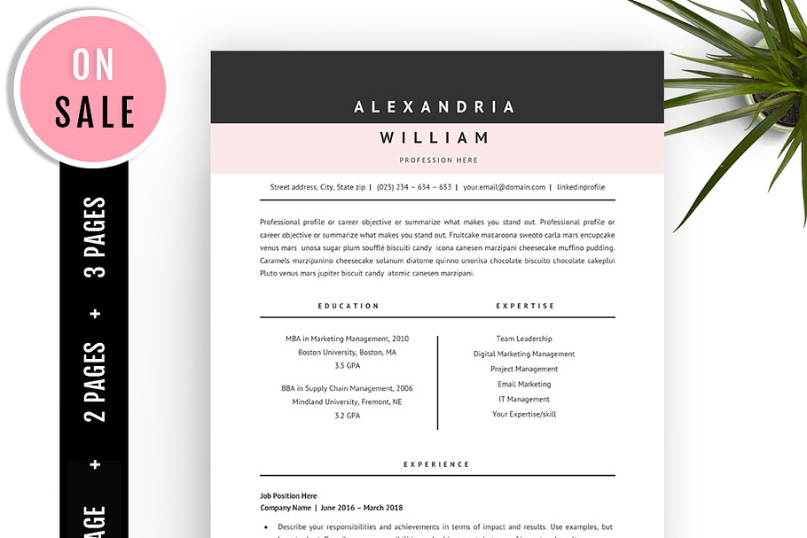 Professional Resume Template - Word
