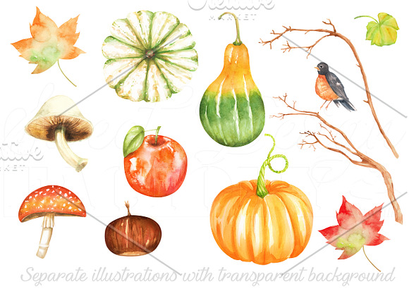 Watercolor fall and harvest cliparts in Illustrations - product preview 1