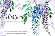 Watercolor flowers wisteria.