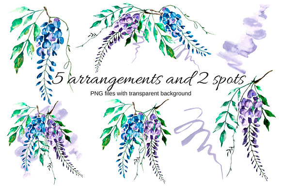 Watercolor flowers wisteria. in Illustrations - product preview 1