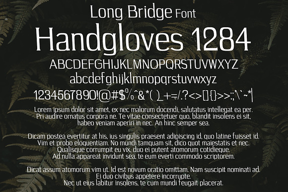 Long Bridge Font in Fonts - product preview 1