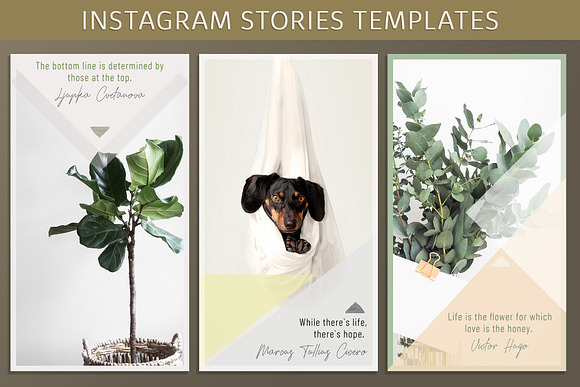Instagram Story Templates  in Instagram Templates - product preview 2