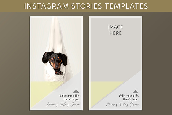 Instagram Story Templates  in Instagram Templates - product preview 14