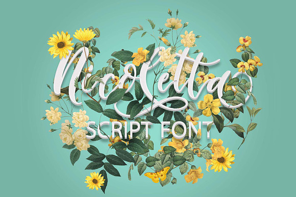 Nicoletta Script - Handlettered Font in Script Fonts - product preview 8