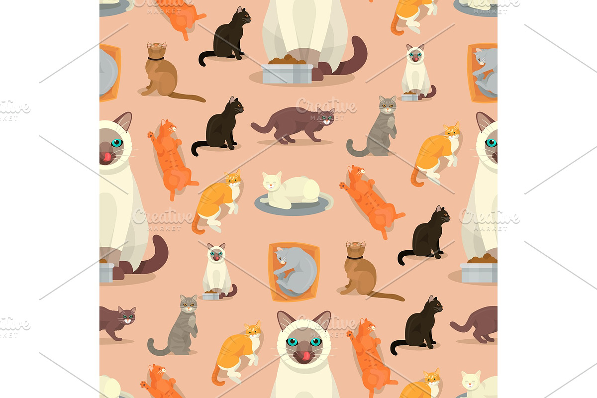 Cat breeds cute kitty pet cartoon in Illustrations - product preview 8