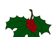 Christmas holly leaves with berry, r