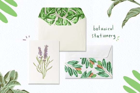 Colored Botanical Illustration Vol.1 in Illustrations - product preview 1