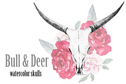 Watercolor bull and deer skulls +PNG