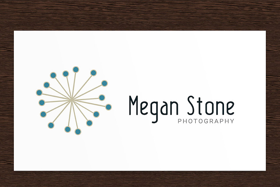 Megan Stone Photography Logo - PSD in Logo Templates - product preview 8