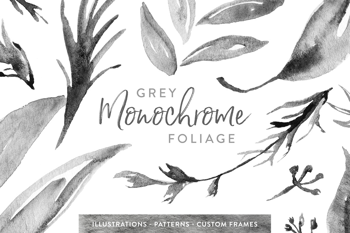 Grey Monochrome Foliage in Illustrations - product preview 8