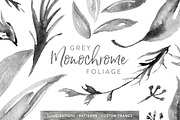 Grey Monochrome Foliage