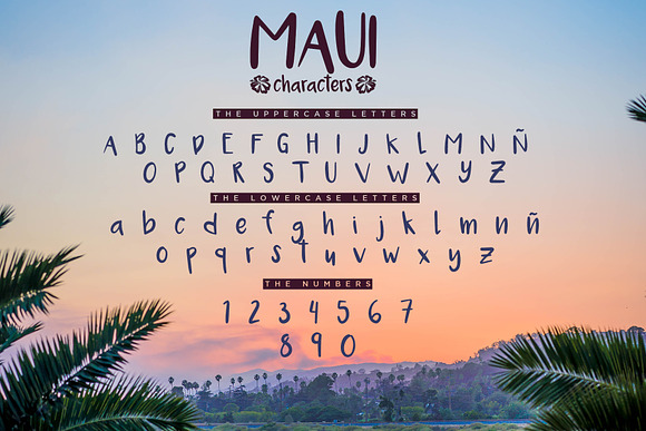 Maui - 2 Versions Handwritten Font in Fonts - product preview 1