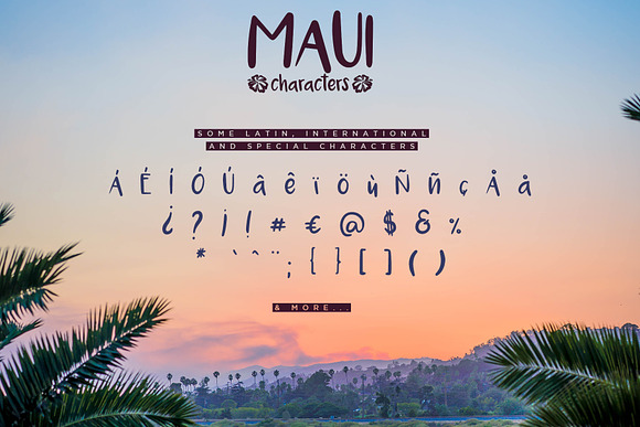 Maui - 2 Versions Handwritten Font in Fonts - product preview 2