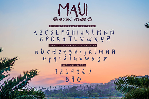 Maui - 2 Versions Handwritten Font in Fonts - product preview 3