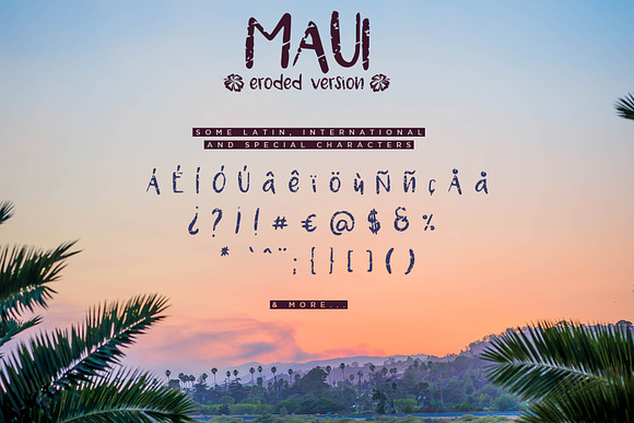 Maui - 2 Versions Handwritten Font in Fonts - product preview 4