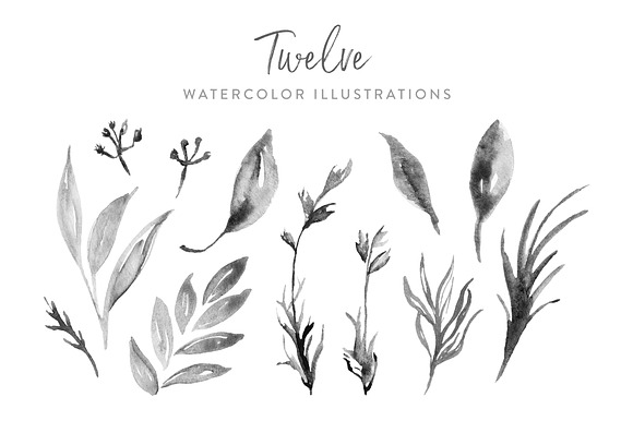 Grey Monochrome Foliage in Illustrations - product preview 1