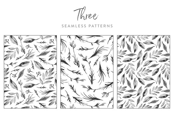 Grey Monochrome Foliage in Illustrations - product preview 2