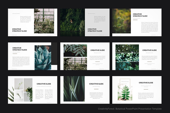 Botanical PowerPoint Template in PowerPoint Templates - product preview 3