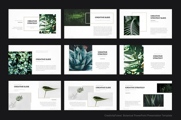 Botanical PowerPoint Template in PowerPoint Templates - product preview 4