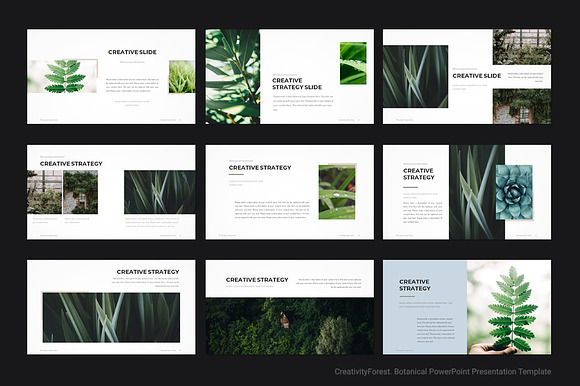 Botanical PowerPoint Template in PowerPoint Templates - product preview 5