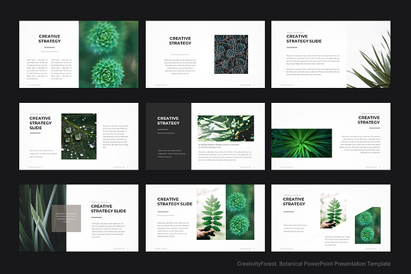 Botanical PowerPoint Template in PowerPoint Templates - product preview 6