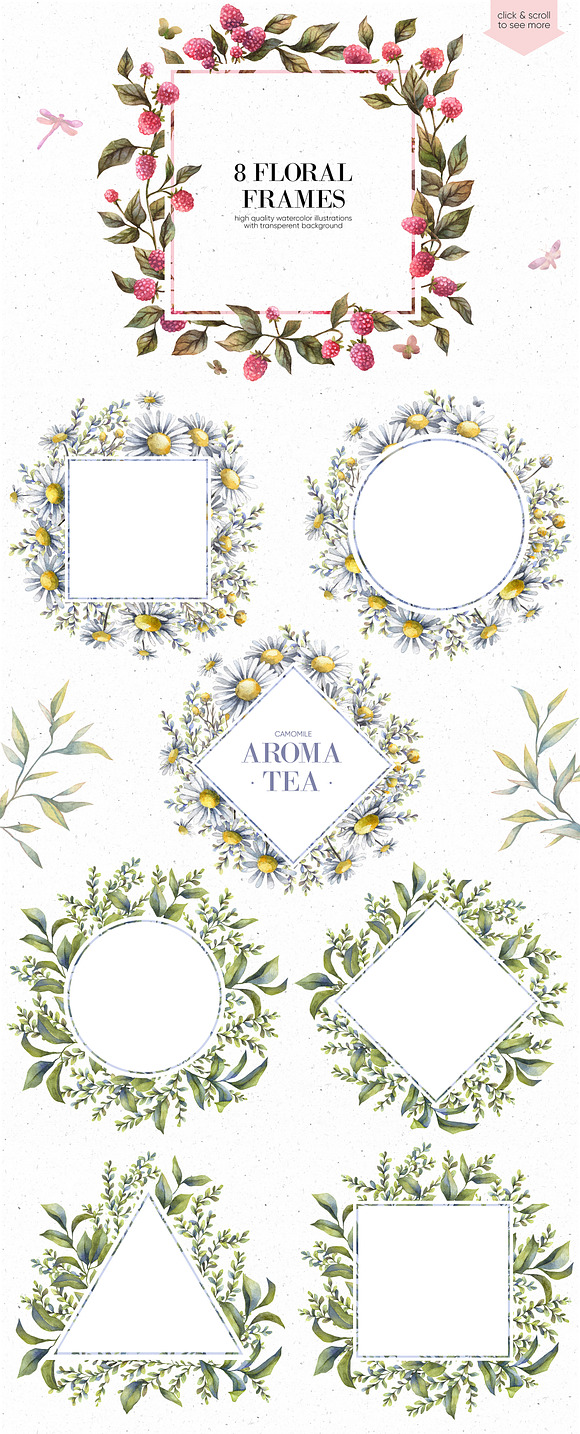 Aroma tea collection in Illustrations - product preview 2