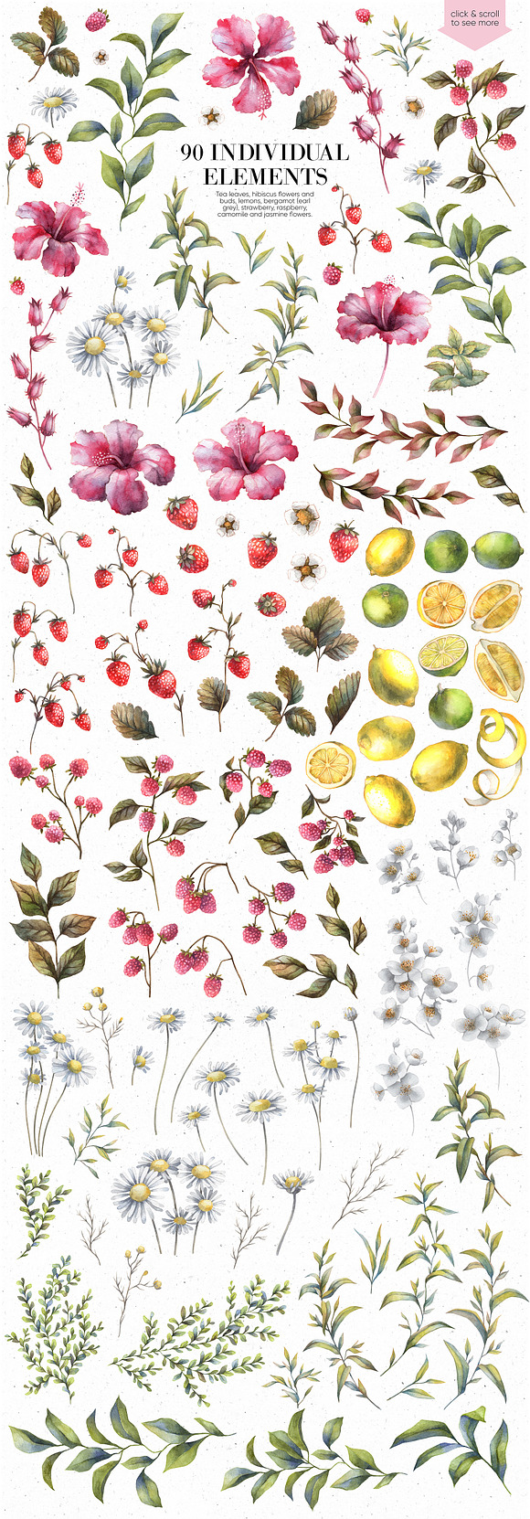 Aroma tea collection in Illustrations - product preview 5