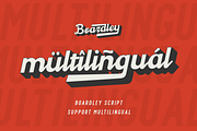 Boardley Script - Layered Font
