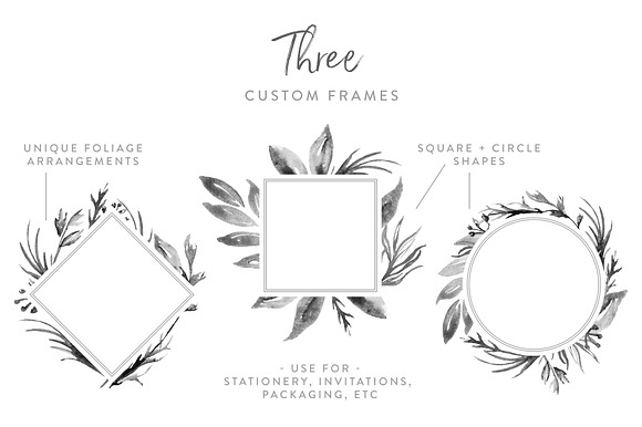 Grey Monochrome Foliage in Illustrations - product preview 3