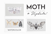 -40% MOTH watercolor butterflies