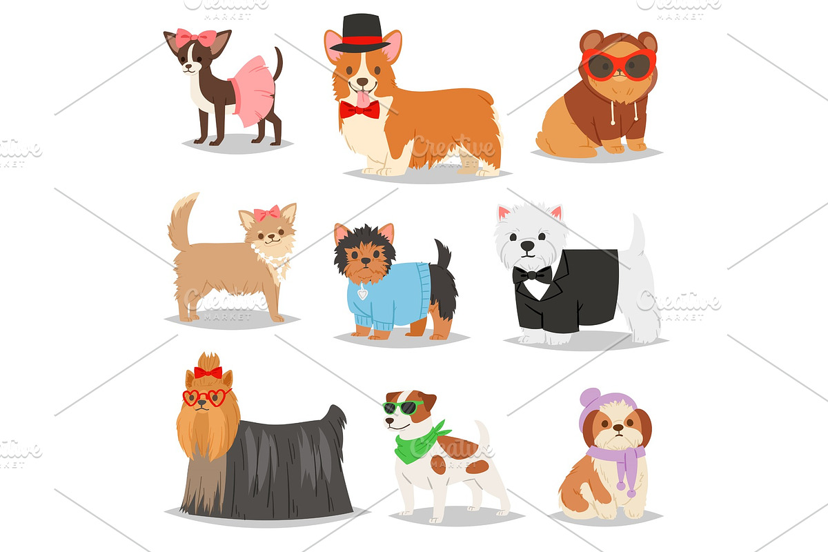 Dog vector puppy pet animal doggie in Illustrations - product preview 8