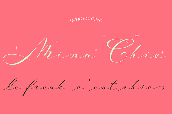 Mina Chic 10% off in Script Fonts - product preview 3
