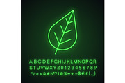 Tree leaf neon light icon