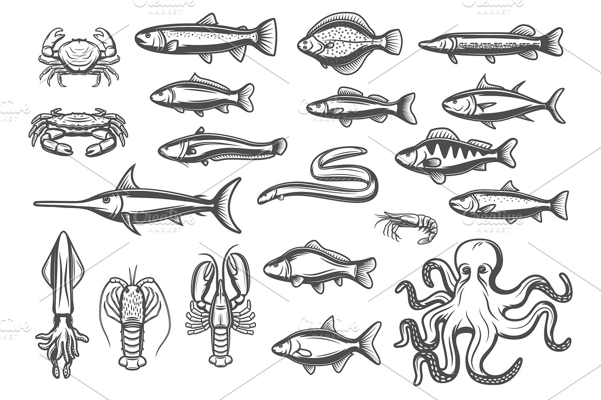 Vector icons of fish and seafood in Illustrations - product preview 8
