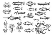 Vector icons of fish and seafood
