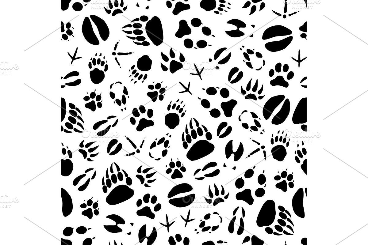 Animal or bird footprints pattern in Illustrations - product preview 8
